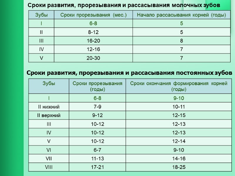 Сроки развития, прорезывания и рассасывания молочных зубов      Сроки развития,